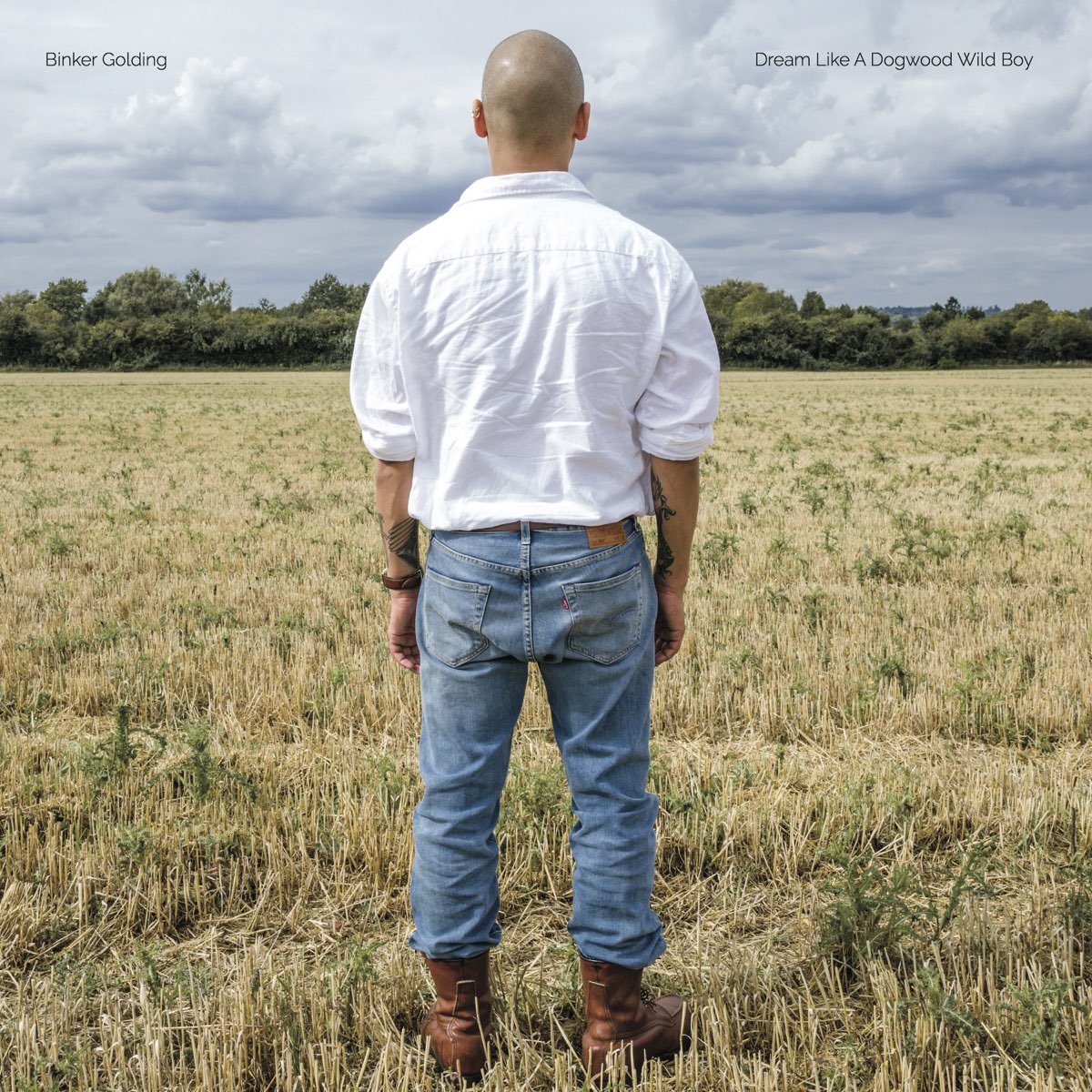 BINKER GOLDING - DREAM LIKE A DOGWOOD WILD BOY