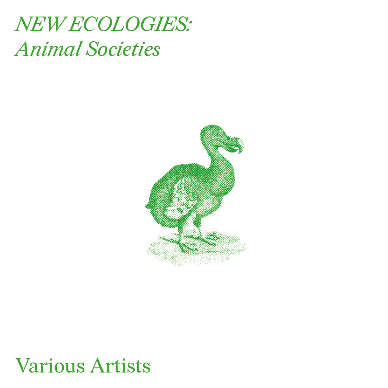 New Ecologies: Animal Societies
