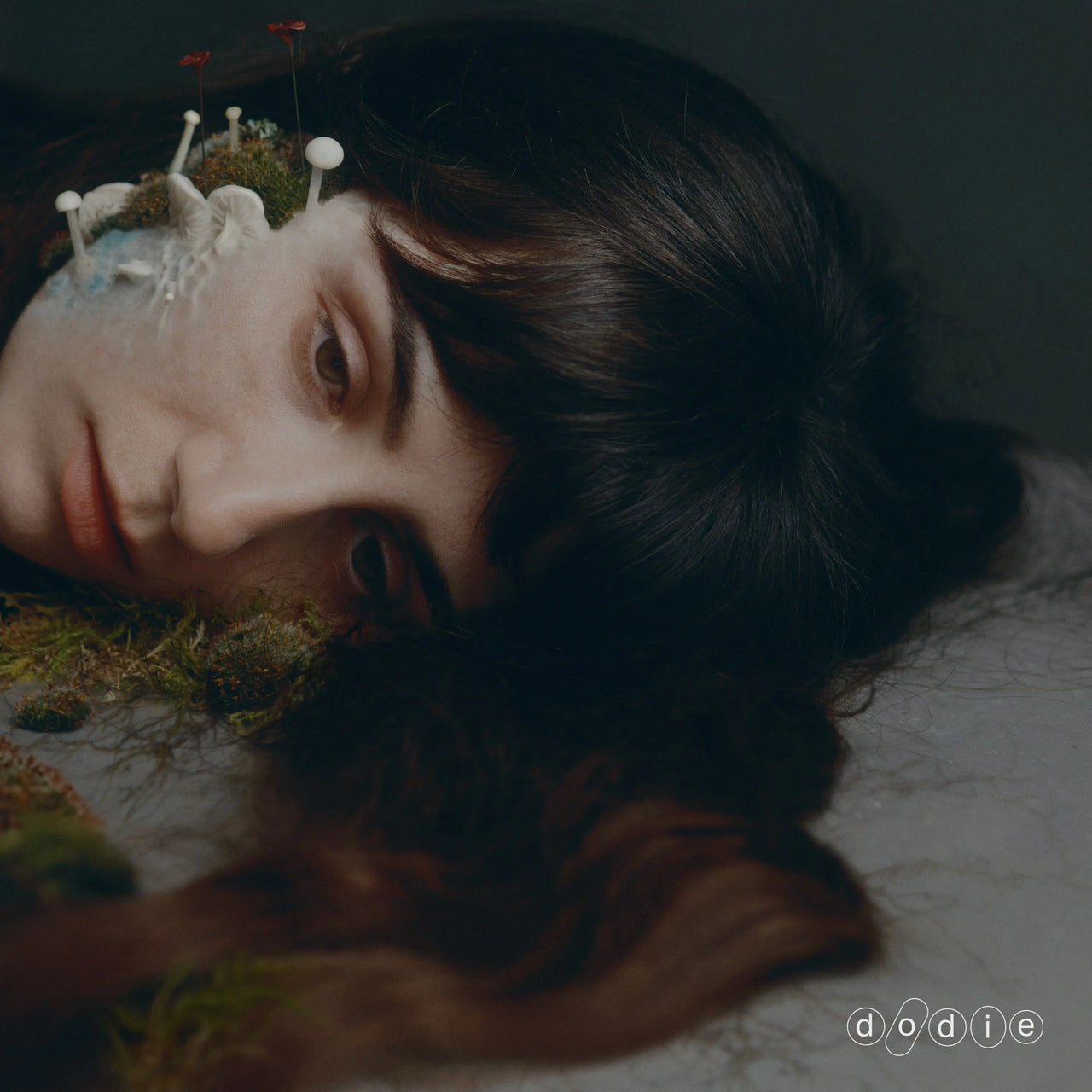 Dodie - Not For Lack of Trying (Eco Black)