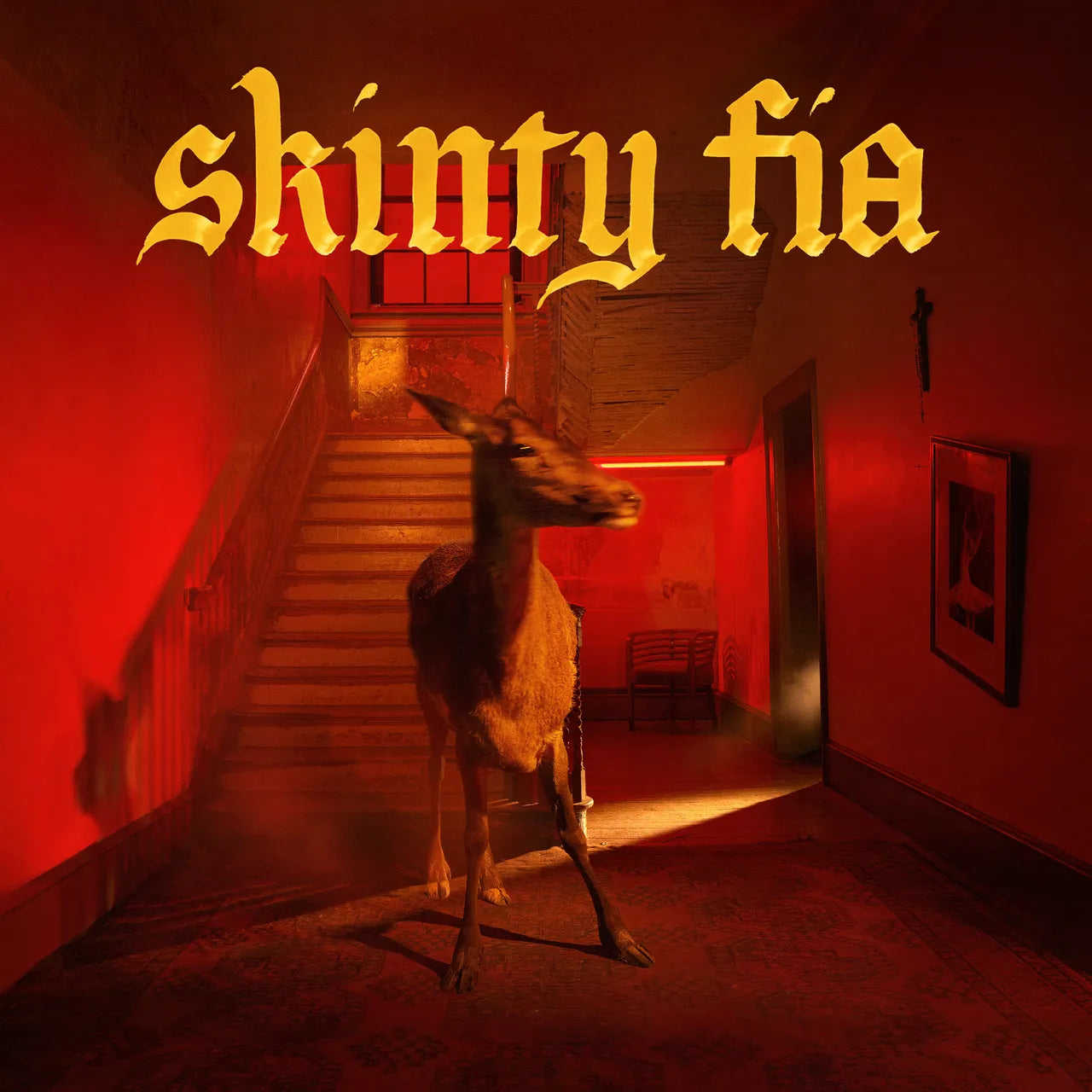 Vinyl Record of Fontaines D.C. - Skinty Fia