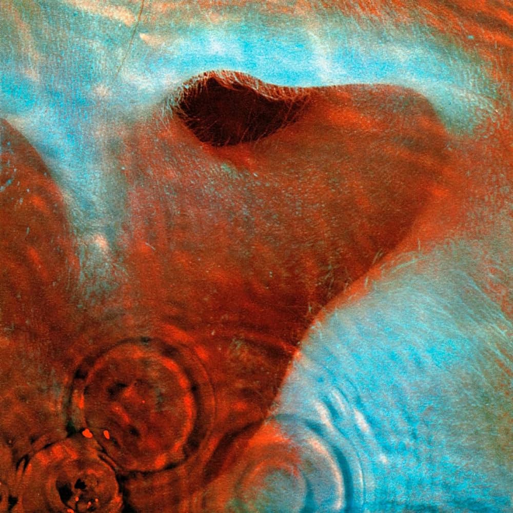 An image of the album PINK FLOYD - MEDDLE (1LP180G 2016/US ISSUE)