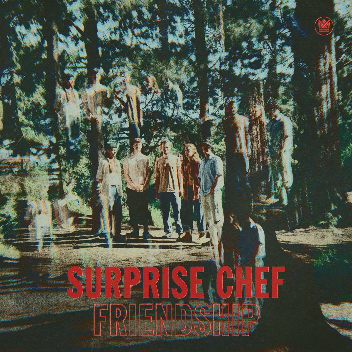 Vinyl Record of Surprise Chef - Friendship