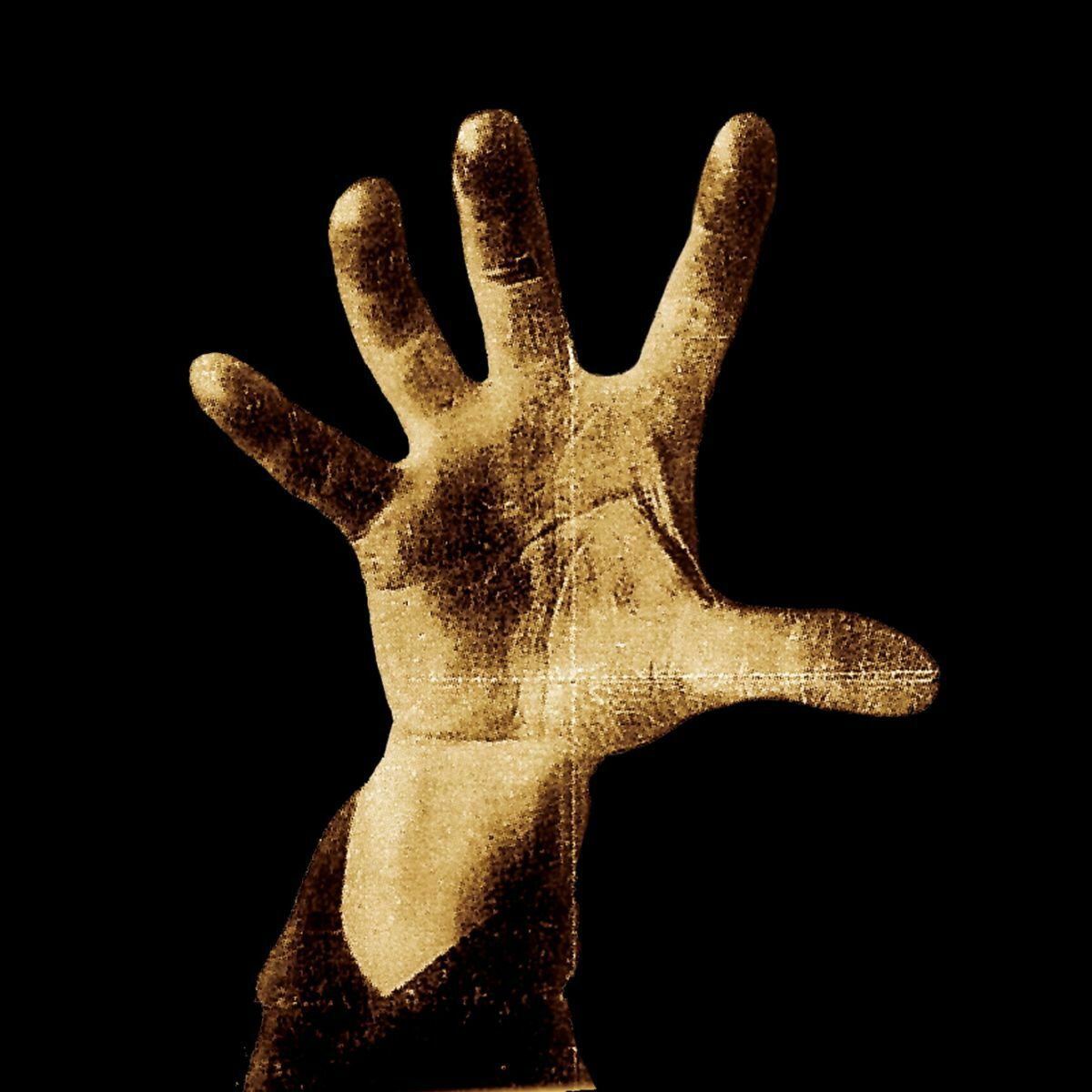 An image of the album System Of A Down - System Of A Down (1LP)