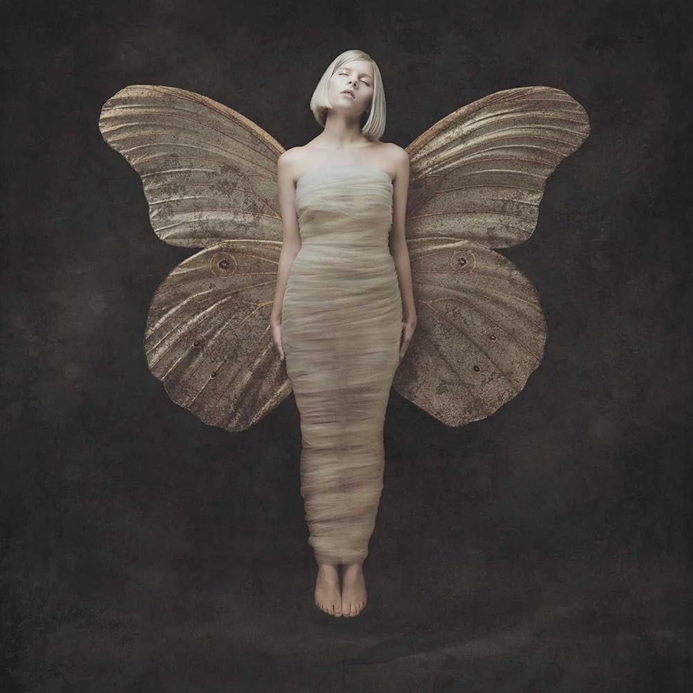 An image of the album AURORA - ALL MY DEMONS ARE GREETING ME AS A FRIEND1LP/COL)