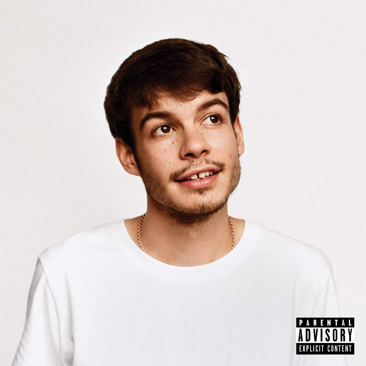 rex orange county pony vinyl record on the jungle floor