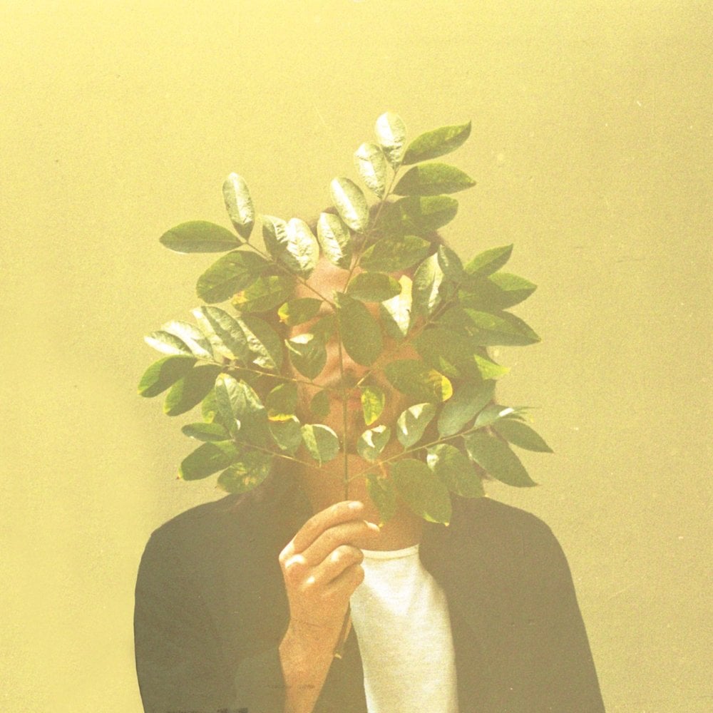 An image of the album FKJ - FRENCH KIWI JUICE LP