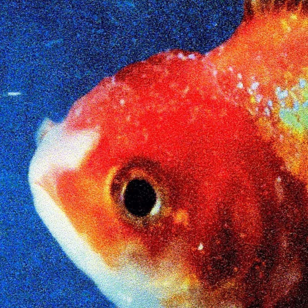 Vinyl Record of Vince Staples – Big Fish Theory