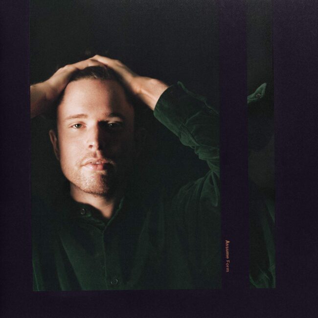 An image of the album James Blake - Assume Form