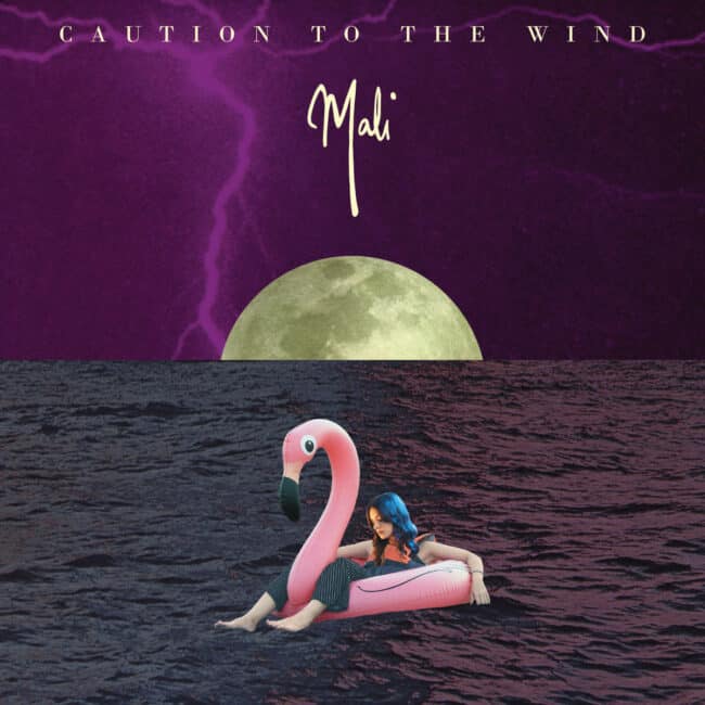 An image of the album MALI - CAUTION TO THE WIND