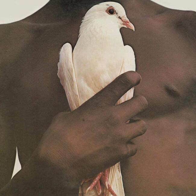 An image of the album SANTANA - SANTANA'S GREATEST HITS (1LP)