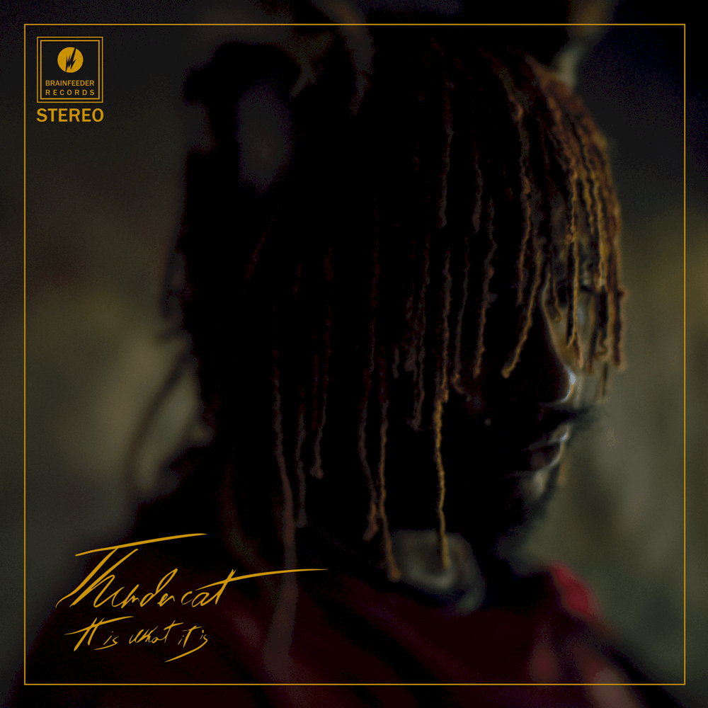 THUNDERCAT (FT. TY DOLLA $IGN & LIL B) - FAIR CHANCE
