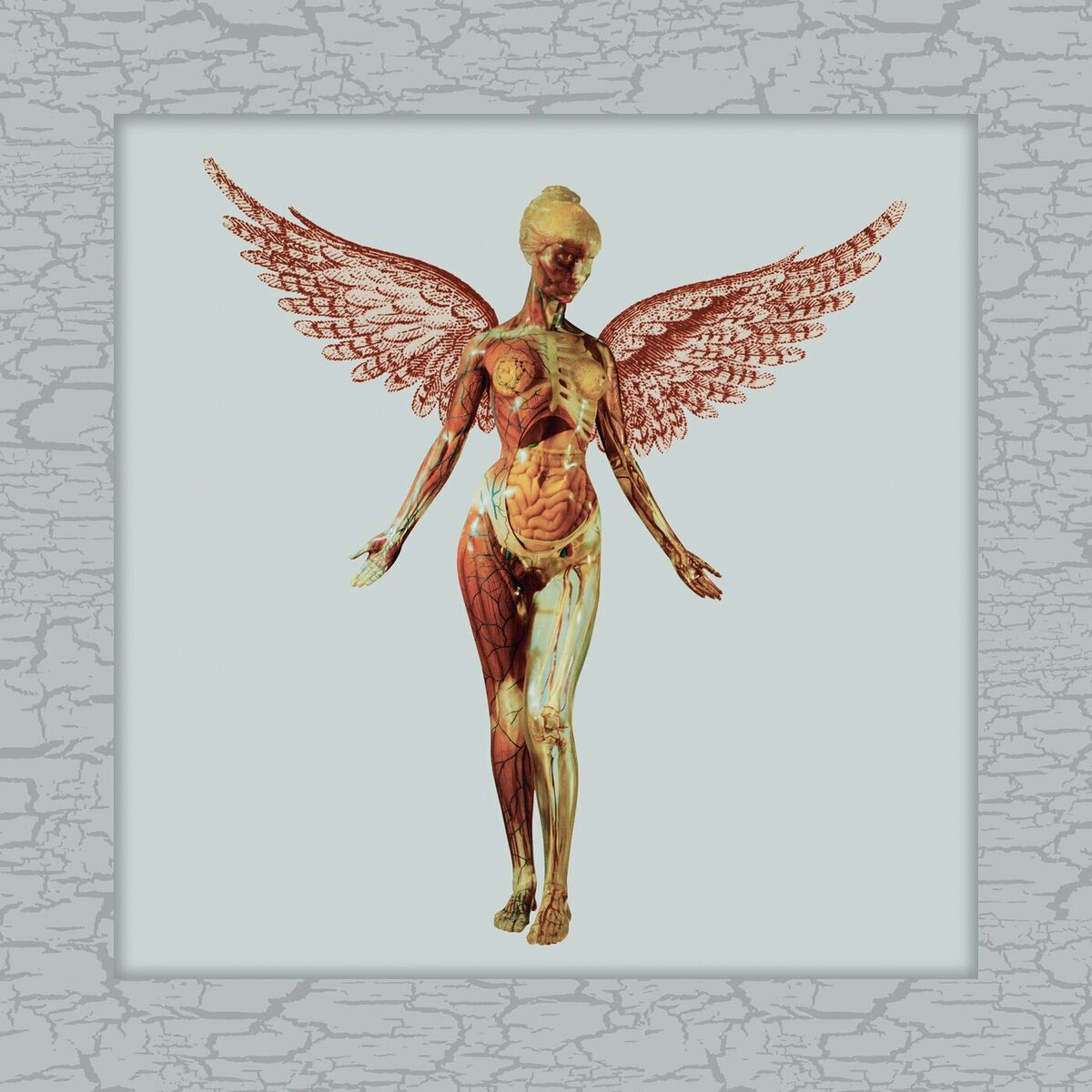 Nirvana - In Utero (Box Set, Deluxe Edition, 30th Anniversary)