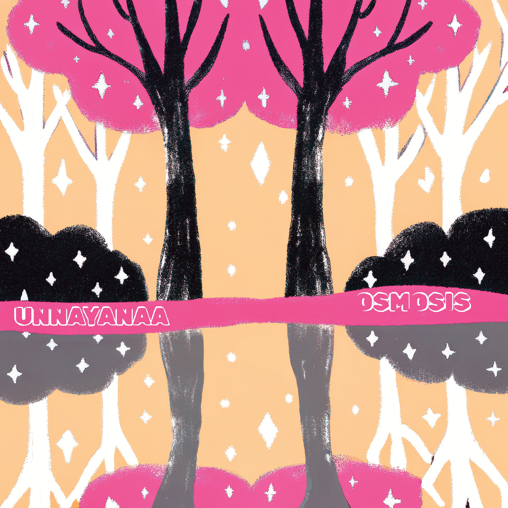 An image of the album Unnayanaa - Osmosis