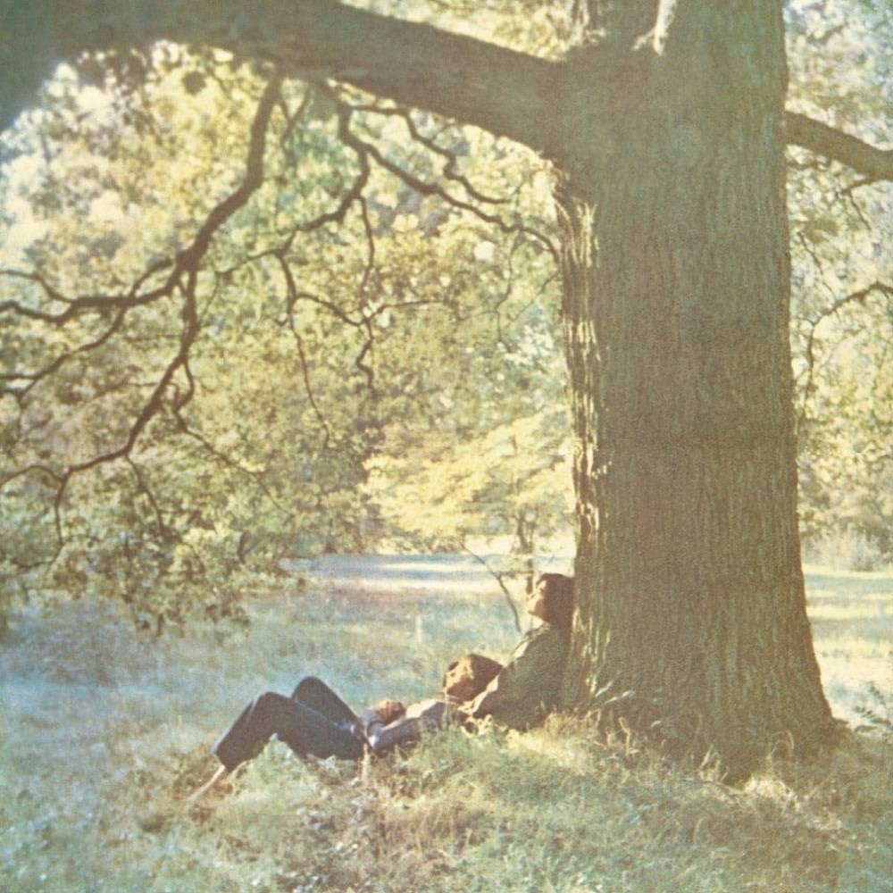 An image of the album JOHN LENNON - PLASTIC ONO BAND (1LP/180G)