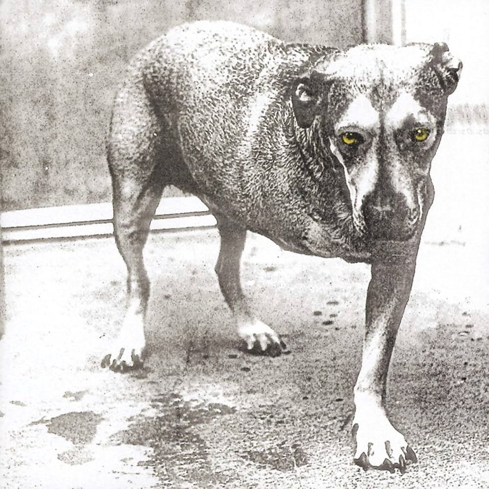 Alice In Chains-Alice In Chains