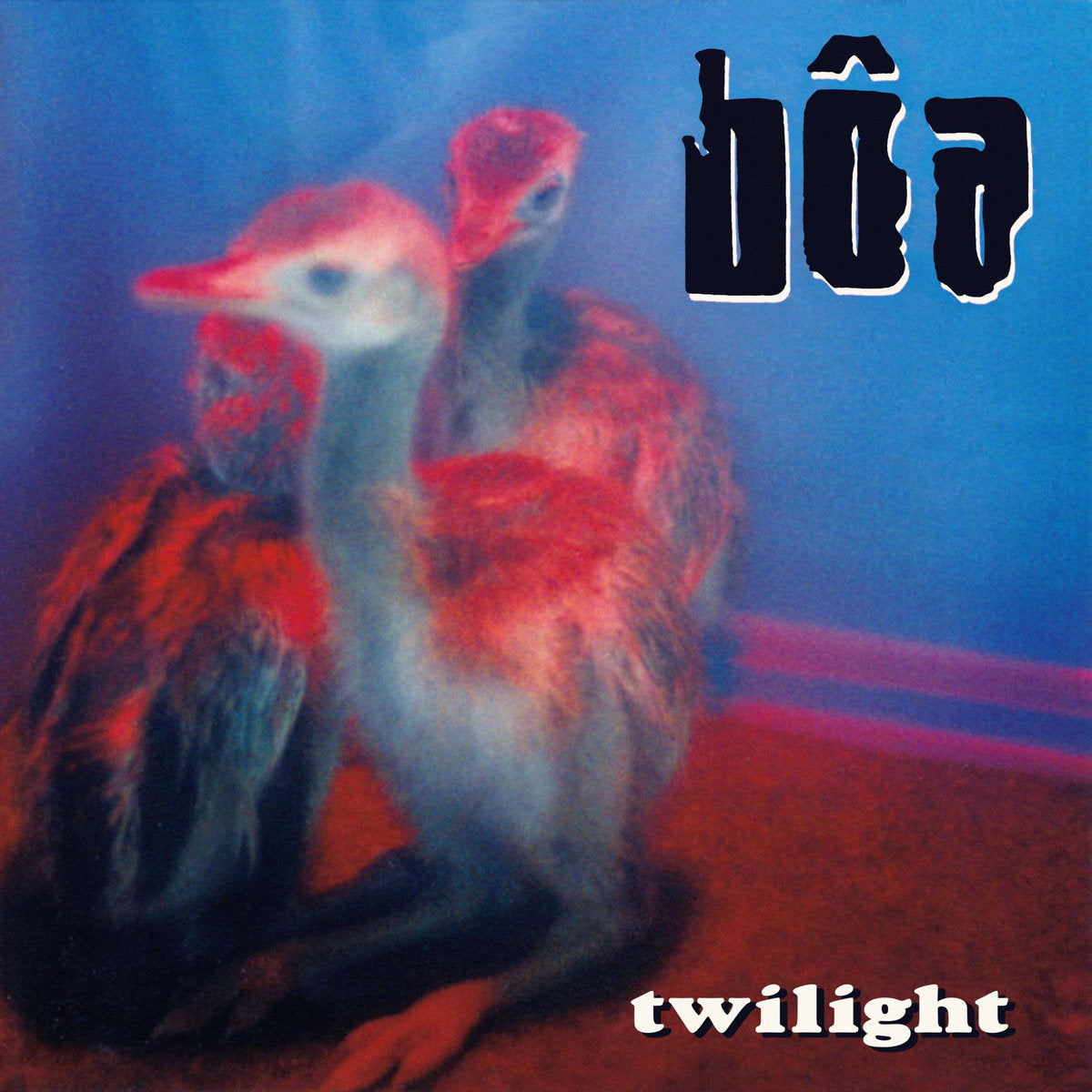 boa-Twilight