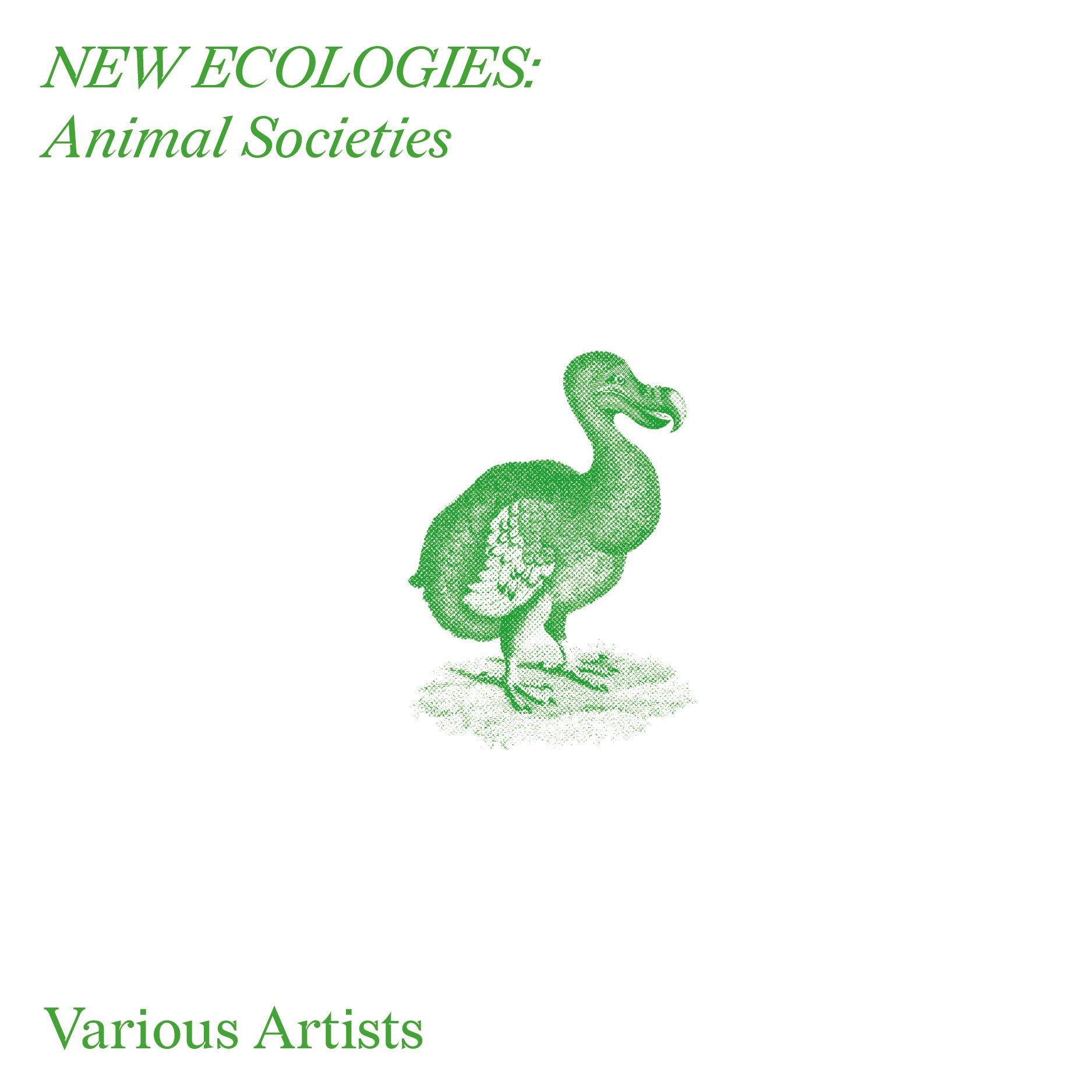An image of the album New Ecologies: Animal Societies