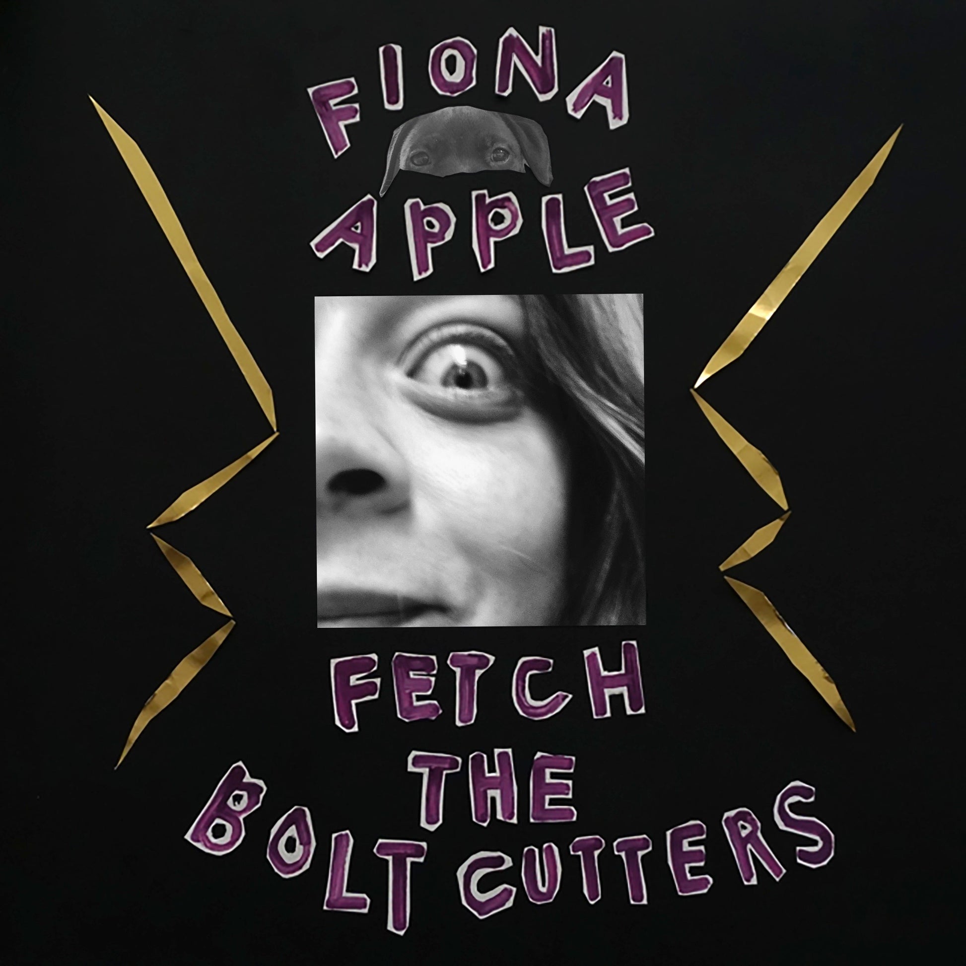 An image of the album Fiona Apple - Fetch The Bolt Cutters
