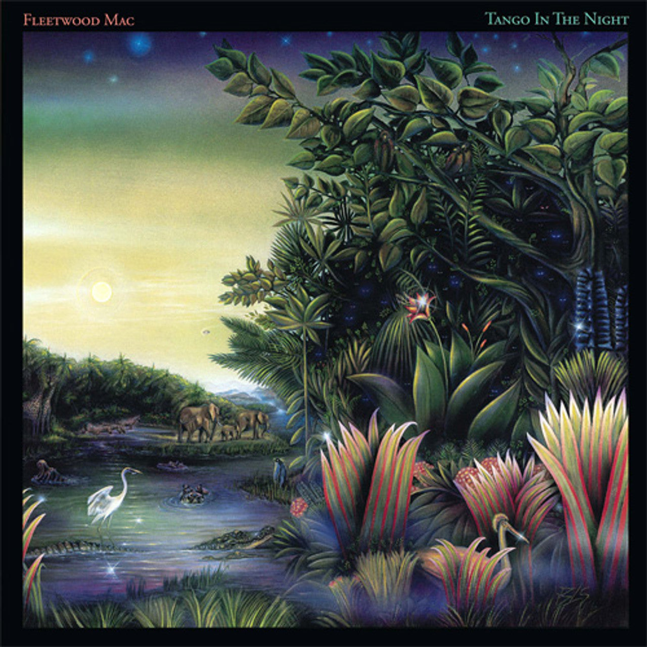 Vinyl Record for Mac Fleetwood MAC FLEETWOOD - TANGO IN THE NIGHT (1LP/180G)