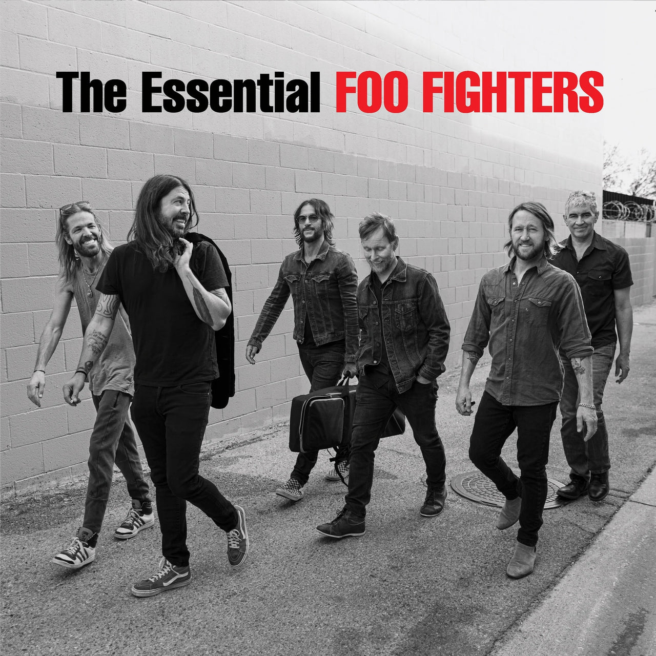 album cover of Foo Fighters - Essential Foo Fighters (2LP)