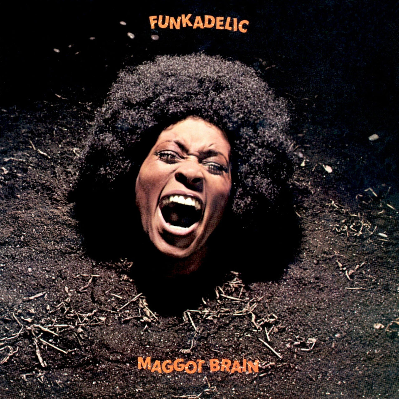 album cover of Funkadelic - MaggotBrain