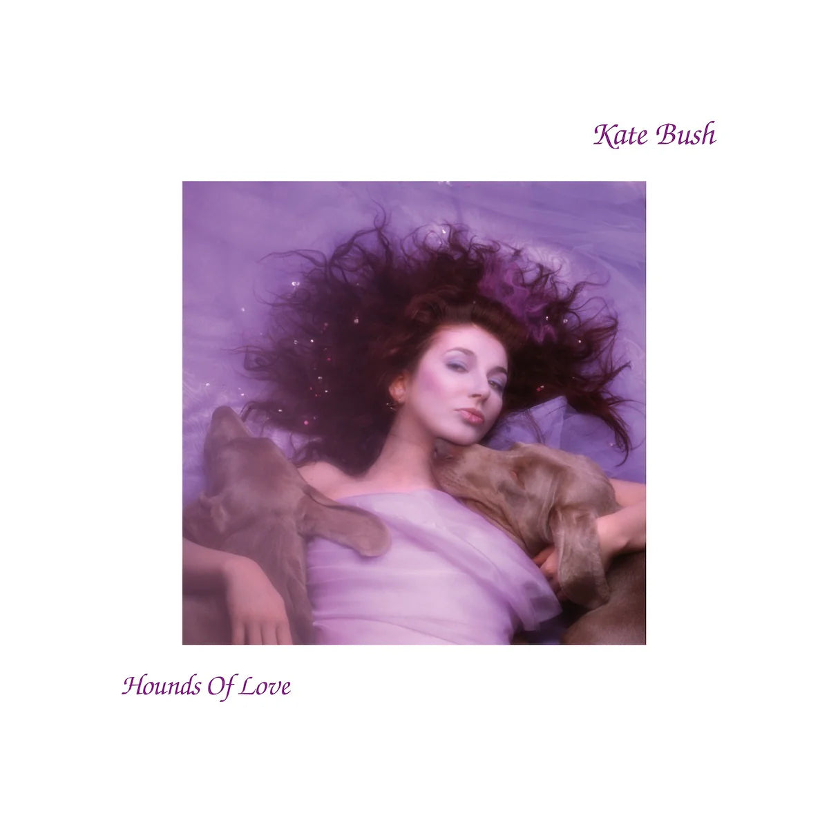 album cover of Kate Bush - Hounds of Love