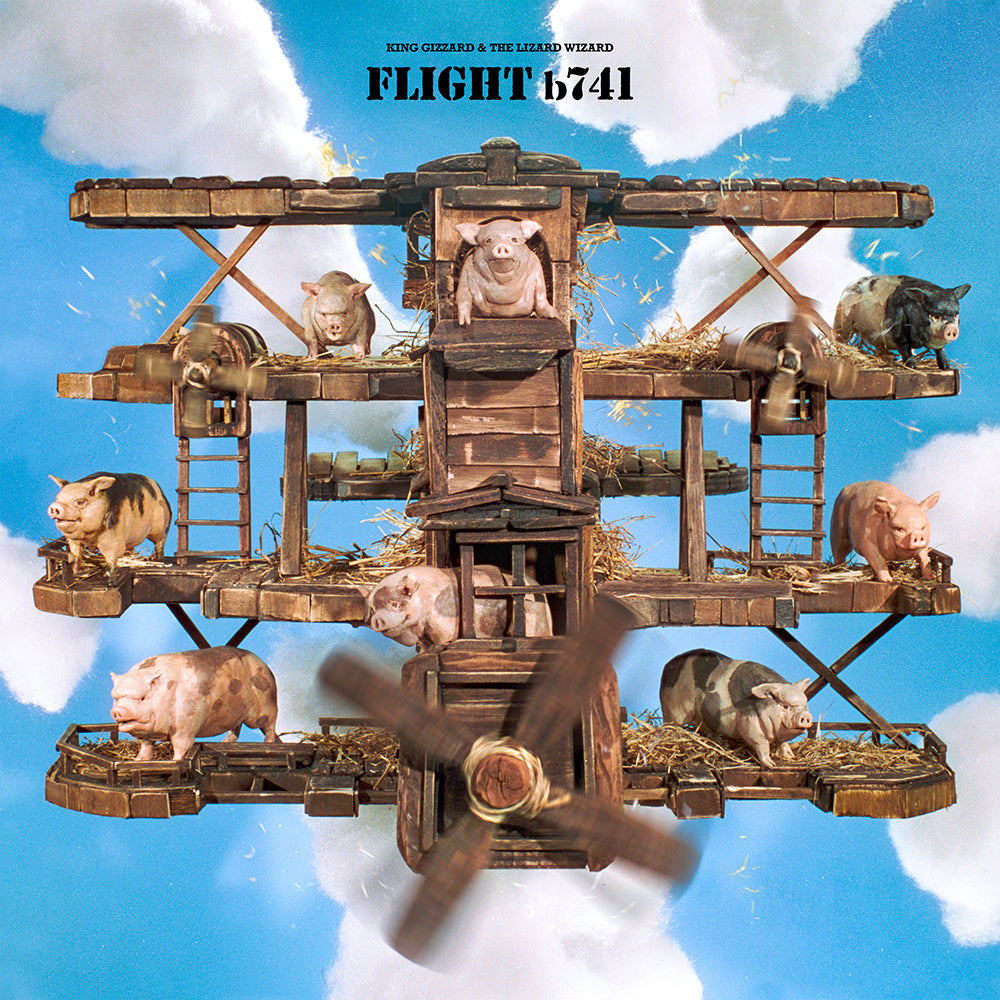 album cover of King Gizzard & The Lizard Wizard-Flight b741