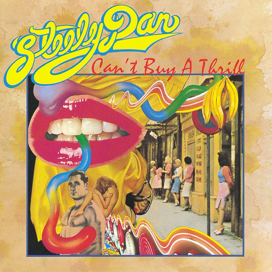 Vinyl Record of Steely Dan - Can't Buy A Thrill (1LP/GF)