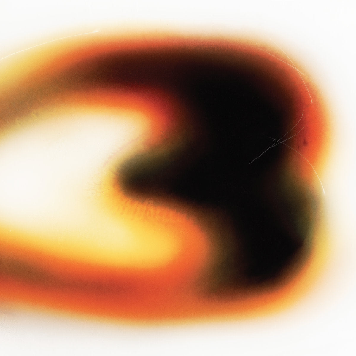 Still House Plants - If I Donèt Make It, I Love U