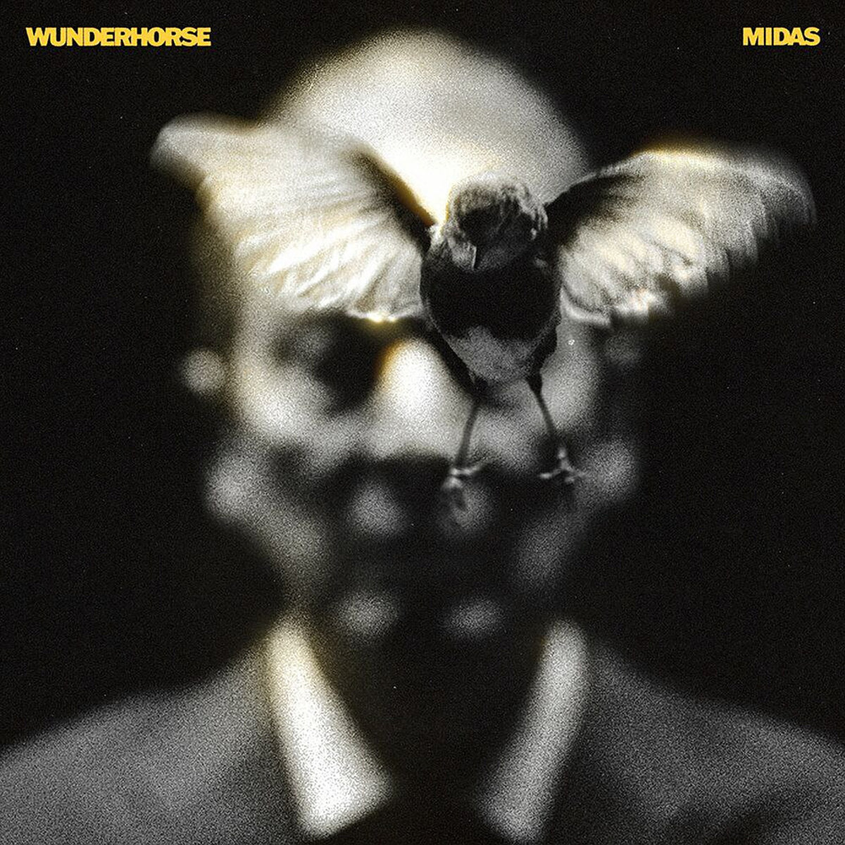 Vinyl Record of Wunderhorse - Midas