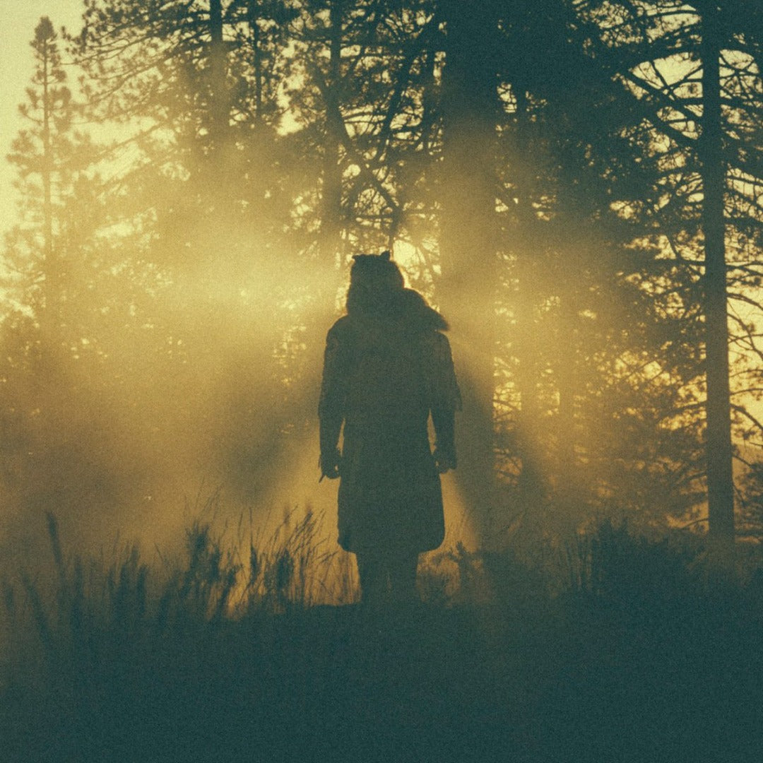 An image of the album Thundercat - The Beyond / Where the Giants Roam