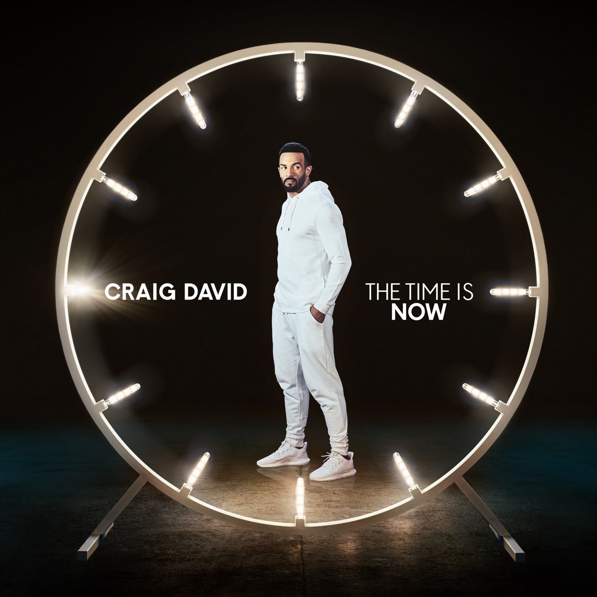 craig david the time is now vinyl record on the jungle floor