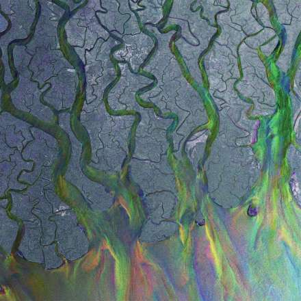 An image of the album ALT-J - AM AWESOME WAVE 1LP/GF/FERN GREEN)