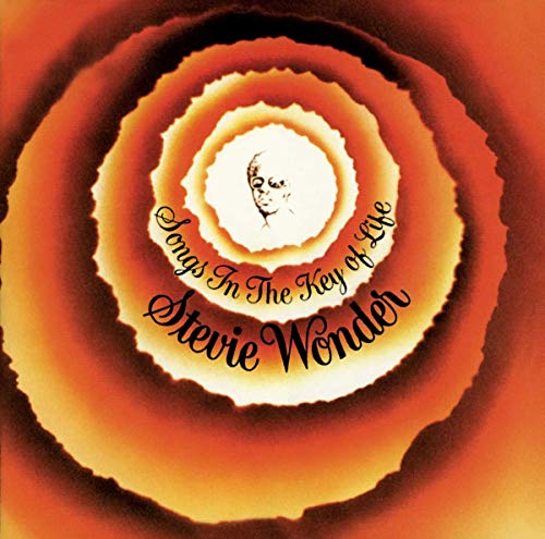 wonder stevie songs in the key of life 2lp vinyl record on the jungle floor