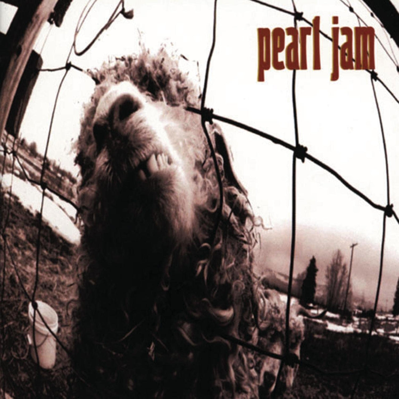 PEARL JAM - VS (1LP/GATEFOLD)