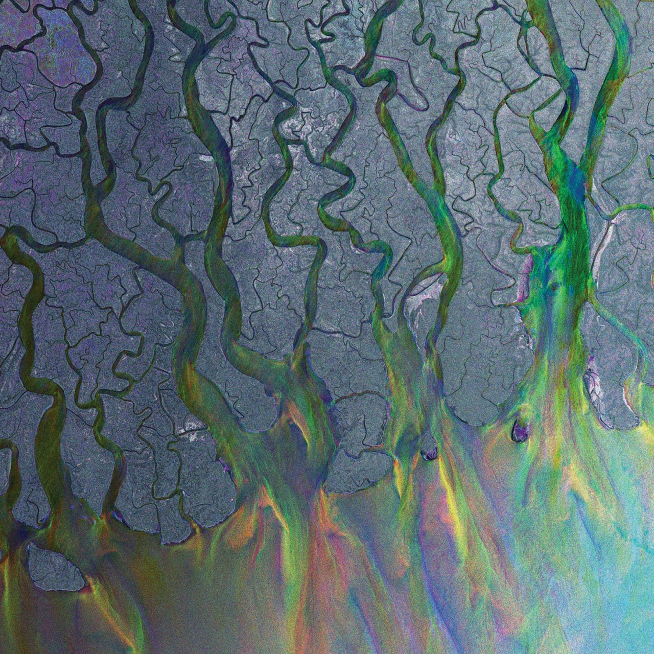 alt j an awesome wave vinyl record on the jungle floor