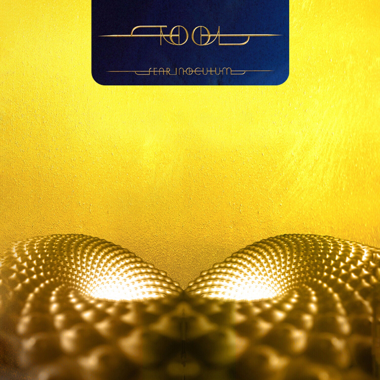 Vinyl Record of TOOL- Fear Inoculum