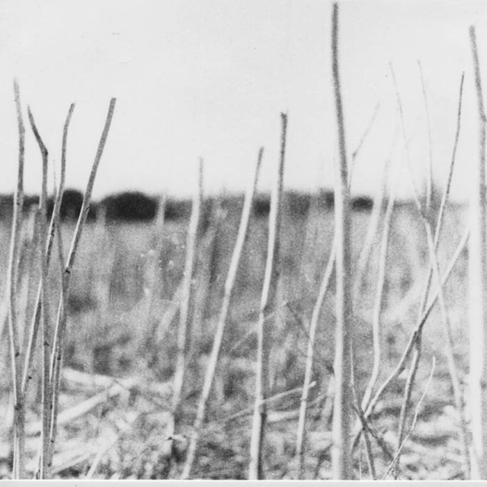 Vinyl Record for Recondite RECONDITE - ON ACID