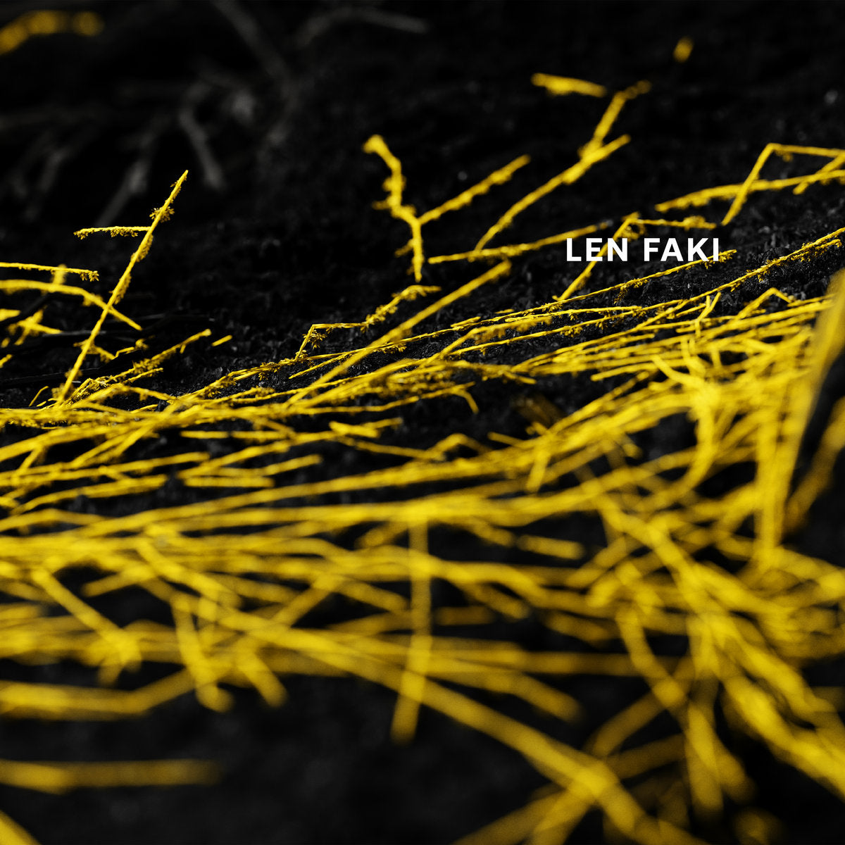 An image of the album Len Faki-Fusion Ep 02/03