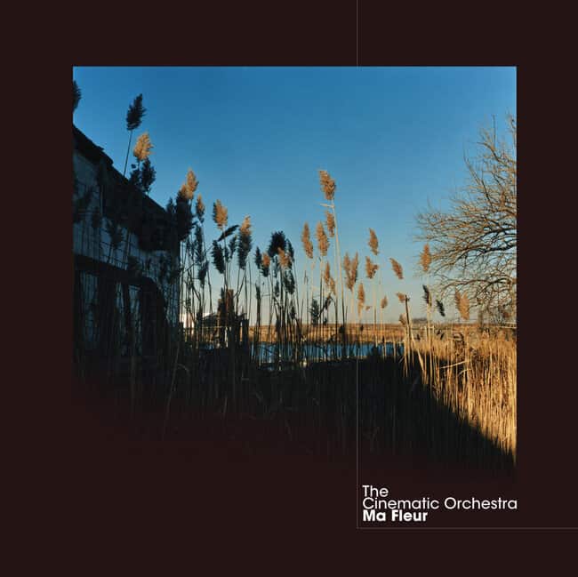 An image of the album THE CINEMATIC ORCHESTRA - MA FLEUR