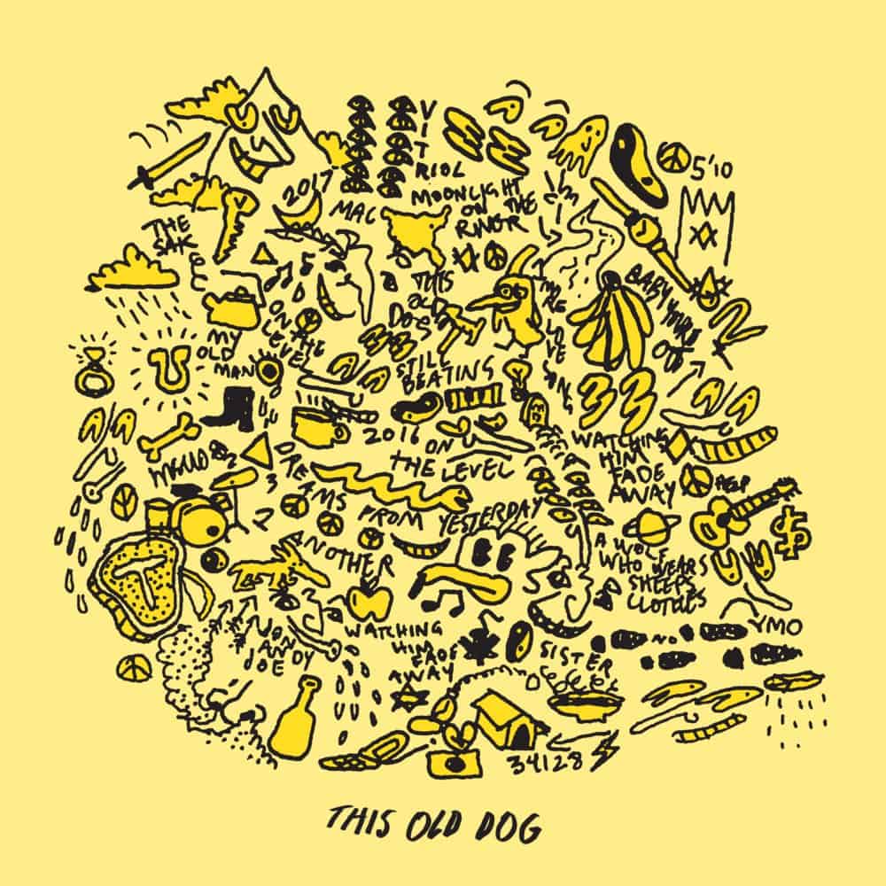 An image of the album MAC DEMARCO - THIS OLD DOG (1LP/GF)