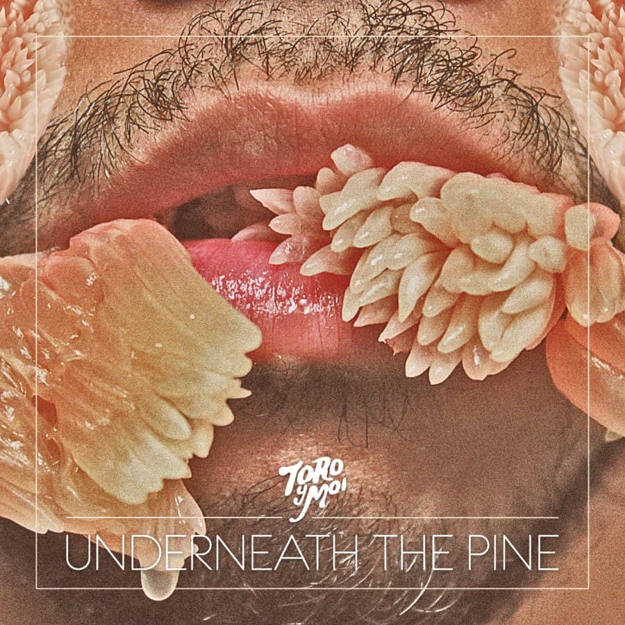 Toro y Moi - Underneath the Pine